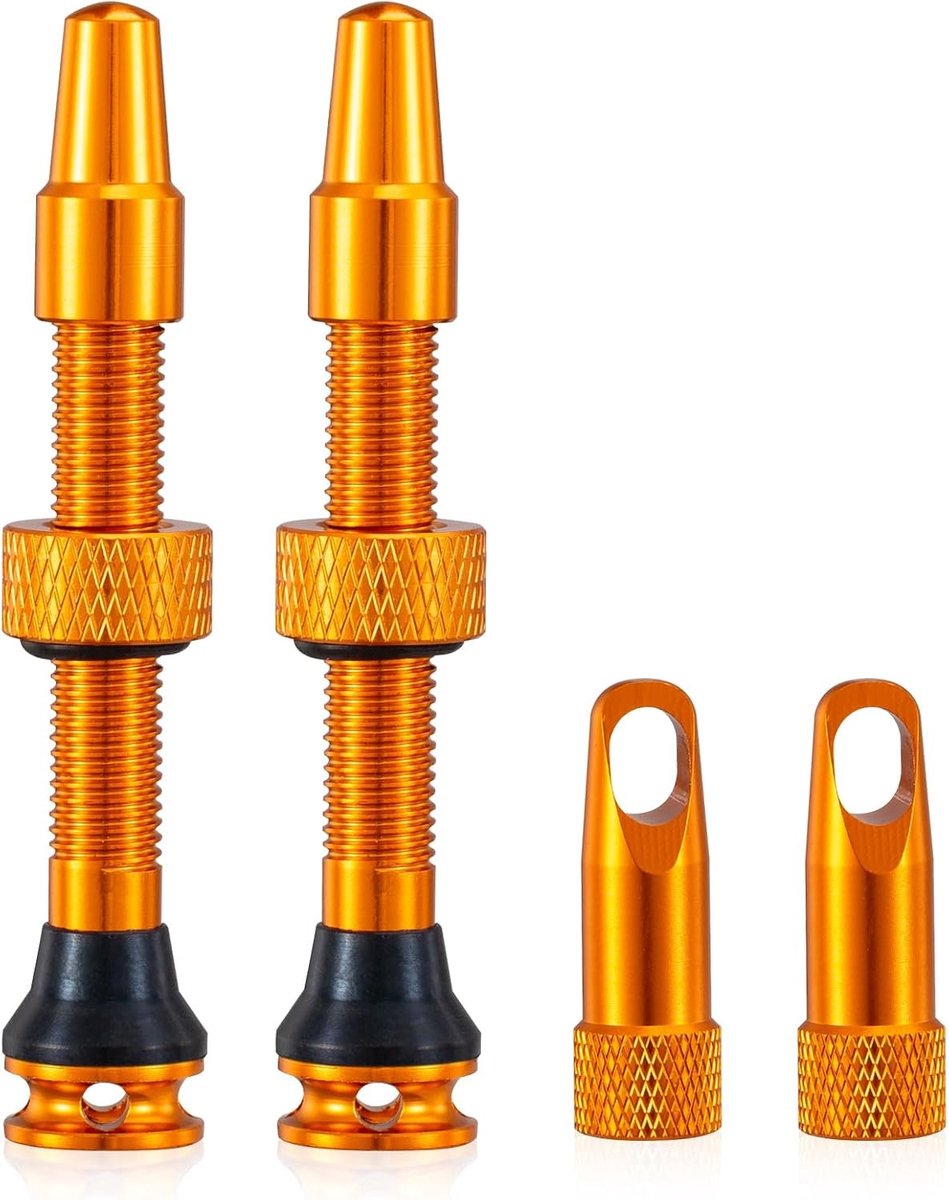Fietsonderdelen Tubeless Presta Ventielen met Handvat en Ingebouwd Kernverwijderaar - 44mm, Zwart