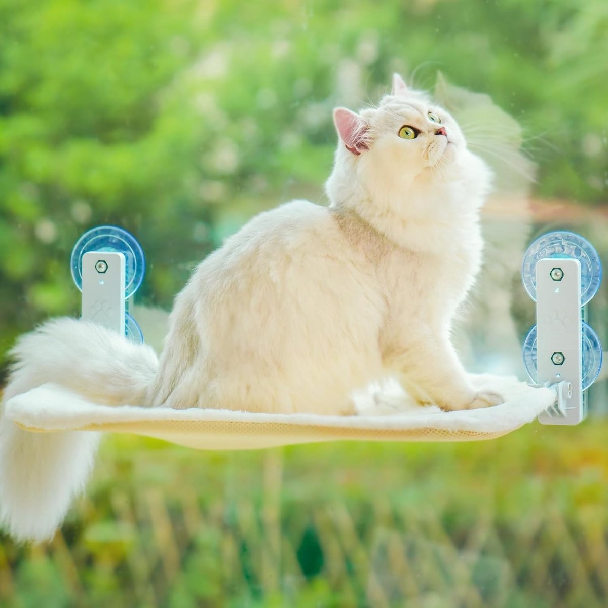 Kattenhangmat voor Raam - Vouwbare Raamzitplaats 54x30cm met Sterke Zuignap tot 18kg, Ideaal voor Binnenkatten met Omkeerbare Wasbare Hoezen