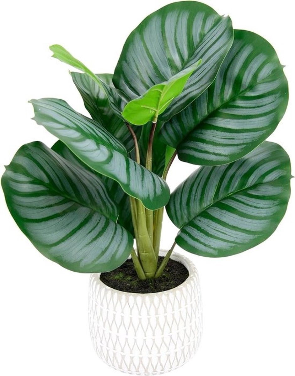 Kunstplant Calathea - Nepplant Zijden Bloem - Woonkamer Decoratie - Realistisch Bladontwerp - 1.85 Kilogram - Groen
