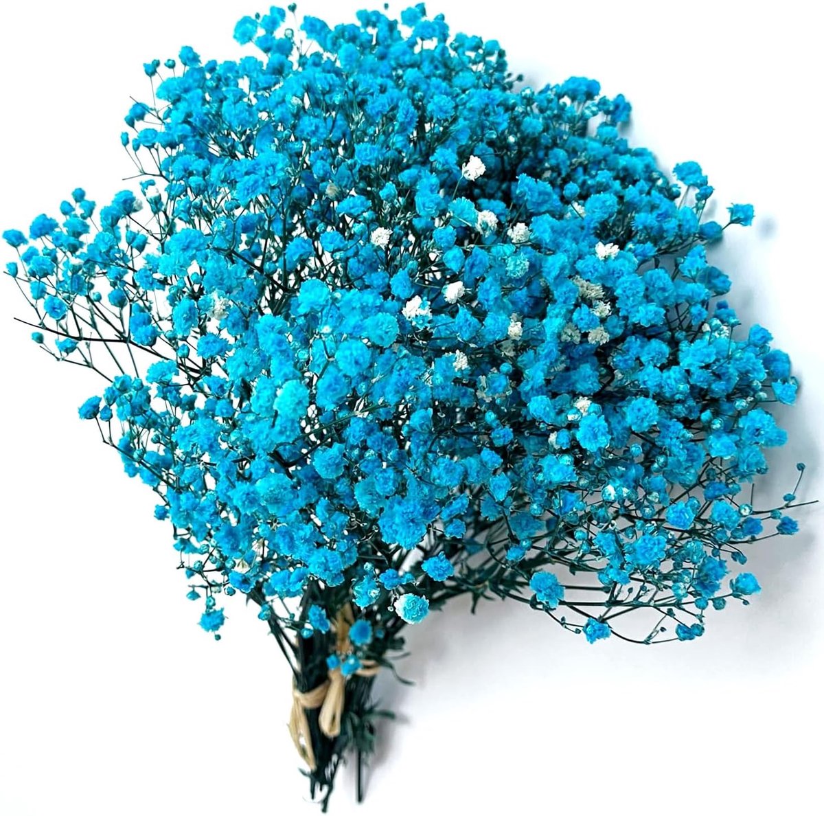 Gedroogde Gypsophiles - Gedroogde Bloemen voor Knutselen, Decoreren, Geschenkdoos, Scrapbooking en Geurkaarsen