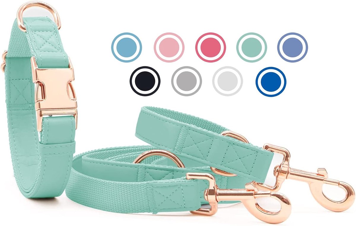 lederen hondenhalsband en riem (2 m) set - 3-voudig verstelbare hondenriem met halsband, stijlvolle roségouden metalen gesp & nylon hondenriem voor puppy's kleine middelgrote honden groen, S