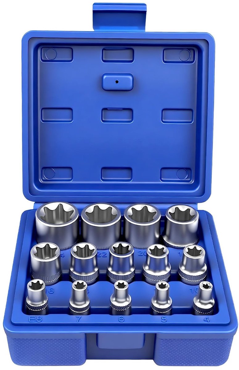 Dailygoods- Torxsleutelset 14-delig - E-Torx - Chroom-vanadium-staal - Aandrijvingsgrootte 1/4"/3/8"/1/2" - Harde kunststof koffer - Ideaal voor onderhoud en reparatie - Dopsleutel
