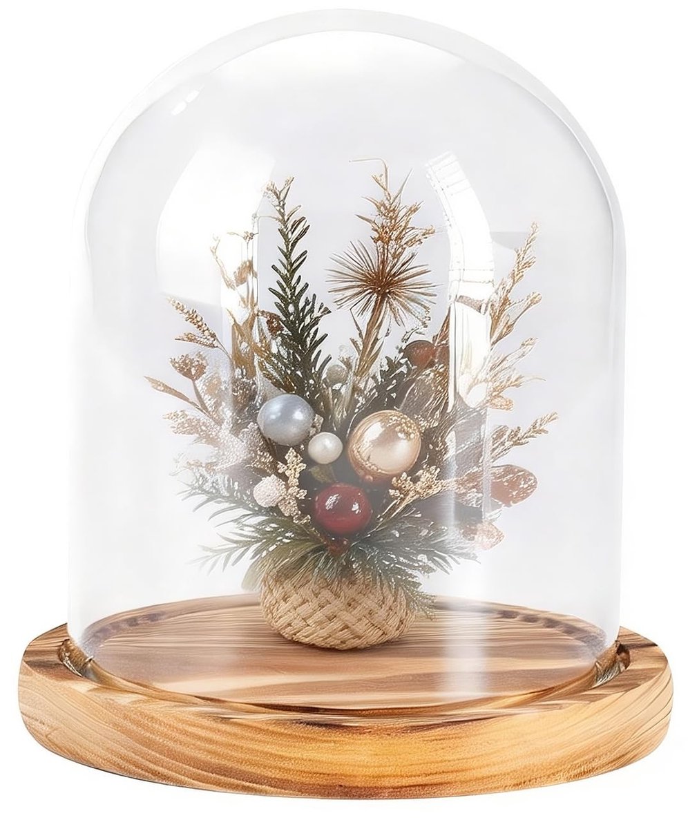 Omgoods - Glazen Displaybel met Houten Voet voor Planten en Curiosa