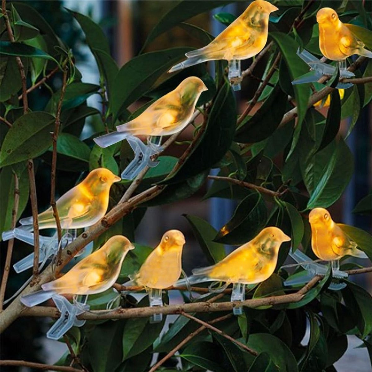 Omgoods - Set van 8 Zonne-energie Vogel Lantaarns voor Tuin