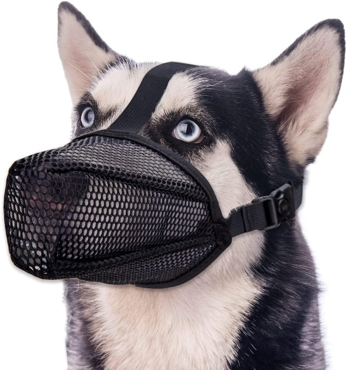 SnelShoppen - Hondentuigje met Ronde Gaas voor Honden - Ademend, Verstelbaar, Bijt- en Kauwbescherming - Voor Kleine, Middelgrote en Grote Honden, Maa
