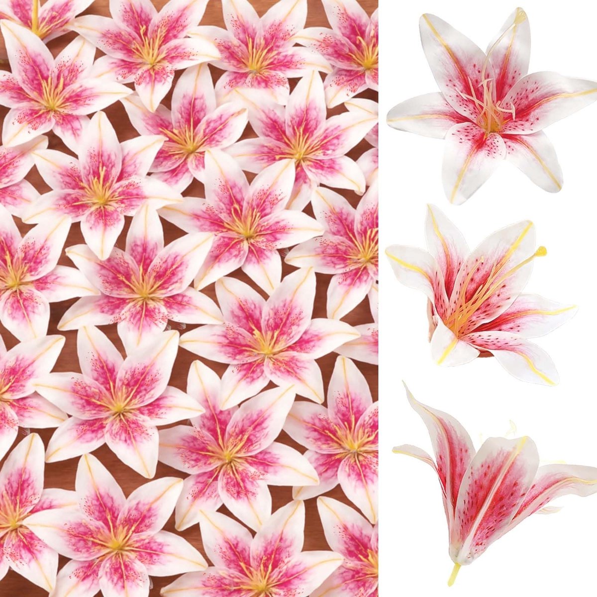 Omgoods- Kunstmatige Lelie 24 Stuks - Realistische Nepbloemen - Zijde/Kunststof - Grote Bloemhoofden 14 cm - Bruiloft/Woondecoratie - Roze-Wit Verloop
