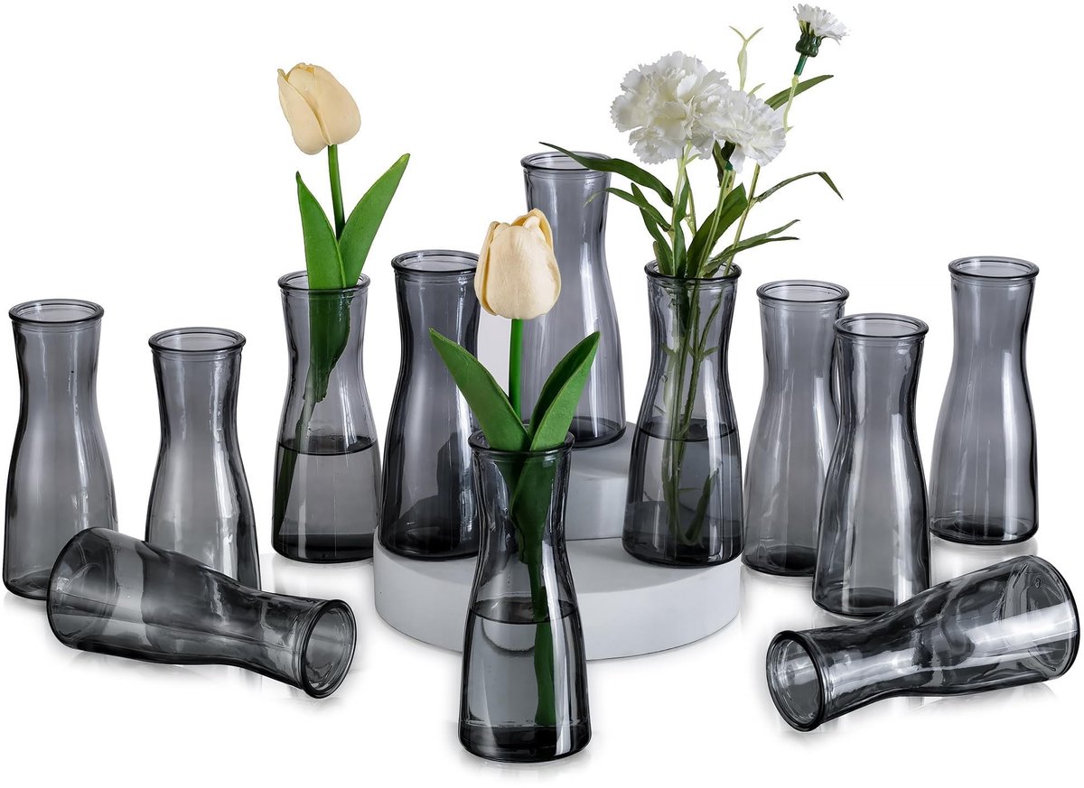 Omgoods - Set van 12 Minimalistische Glazen Vazen voor Decoratie