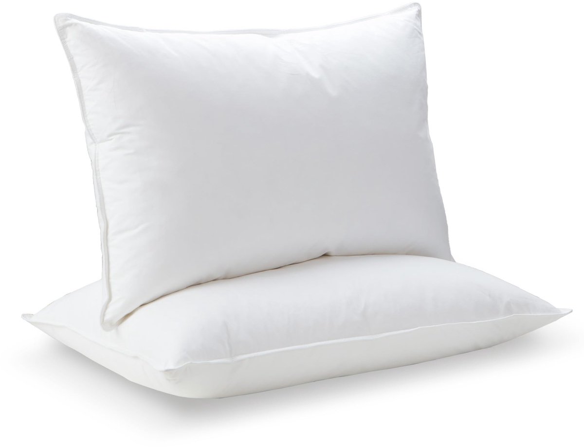 Omgoods - Luxe Veren Donzen Kussens 48x74 cm - Set van 2 - 100% Katoenen Tijk