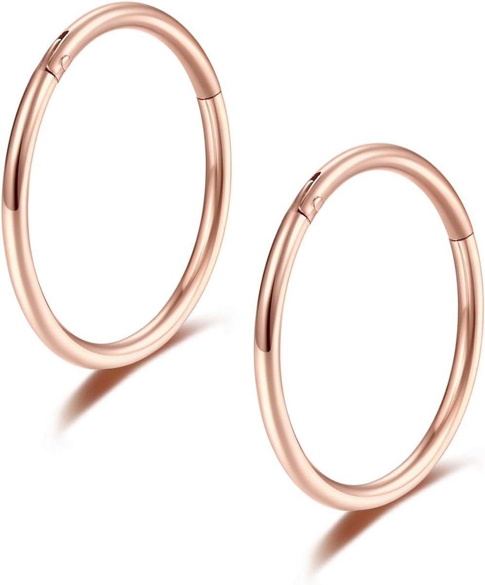 Ringen Hoepel G23 Titanium Scharnierend Segment Septum Ringen Naadloze Clicker Sleeper Daith Tragus Helix Kraakbeen Piercing Hoop Oorbellen
