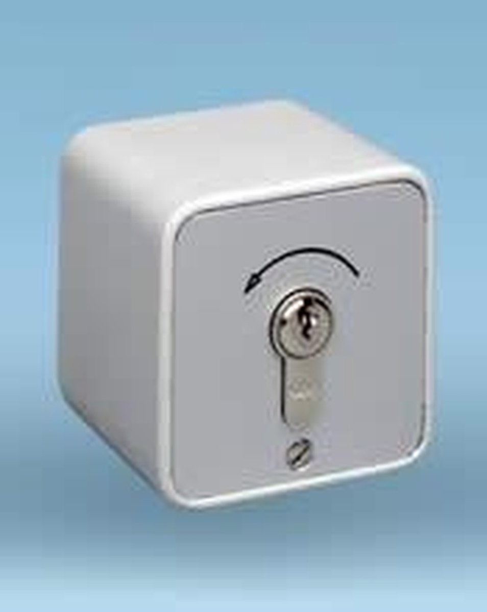 Sleutelcontact Opbouw - Sleutelschakelaar Deur - Poorten Openen - Normaal Open Contact - 1 Contact - Zwart Grijs Wit