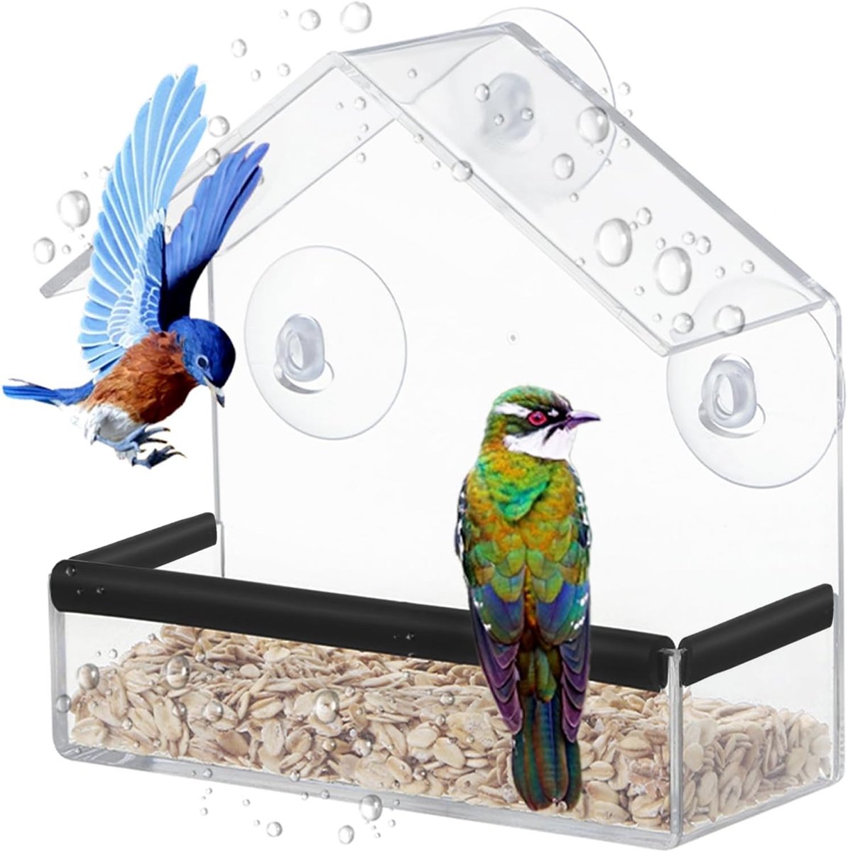 SnelShoppen - Vogelhuisje voor Ramen, Transparant Voederhuis voor Wilde Vogels, Zuignappen, Geschikt voor Vinken en Bluebirds, Ideaal voor Tuin en Bal