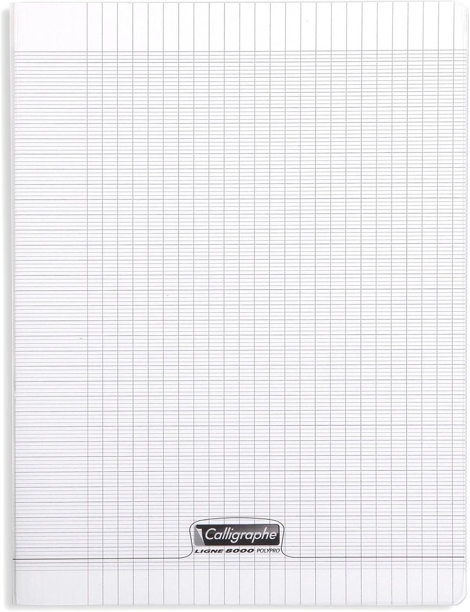 Thijox - Calligraphe Notitieboek 18299C - Kleurloos 24x32 cm - 140 Pagina's Grote Ruitjes - Wit Papier 90 g - Transparante Polypro Omslag - Perfect Vo
