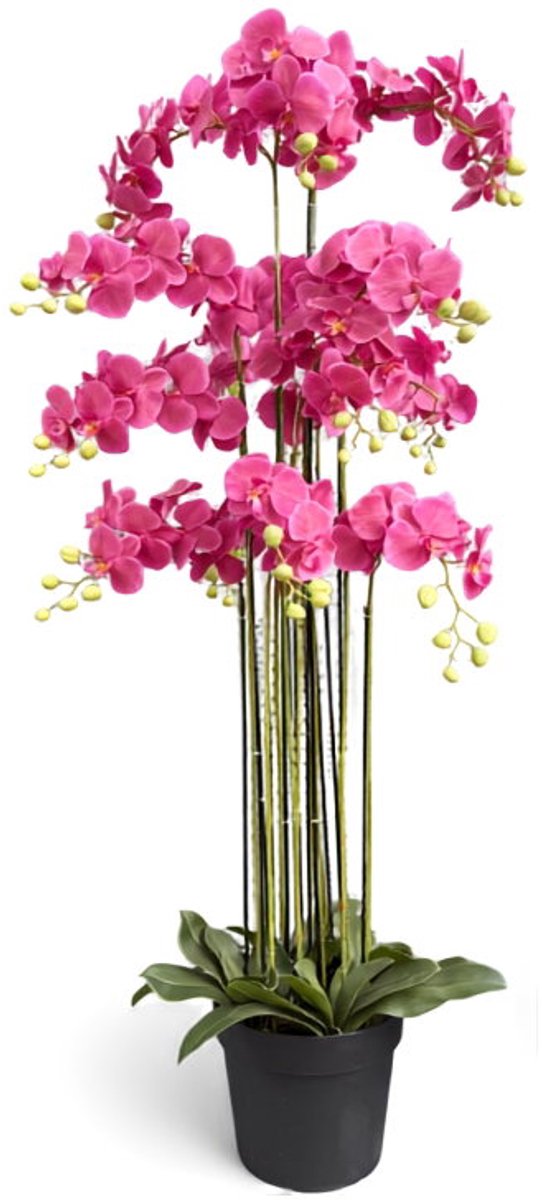 Orchidee fuchsia in pot H 160 cm kunstplant Oosterik Home