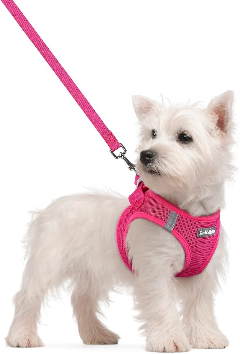 Thijox - Harnas Hond Klein met Riem en Reflecterende Accenten, Anti-trek Hondenharnas van Ademend en Zacht Mesh, Lichtgewicht Comfort, Verstelbaar Sta