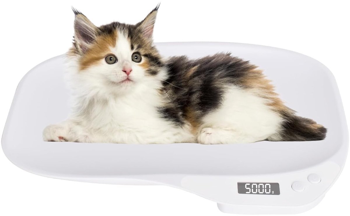 Digitale Weegschaal voor Huisdieren tot 15 kg - Geschikt voor Honden, Katten en Kleine Dieren met 4 Gewichtsmodes en Nauwkeurige Metingen