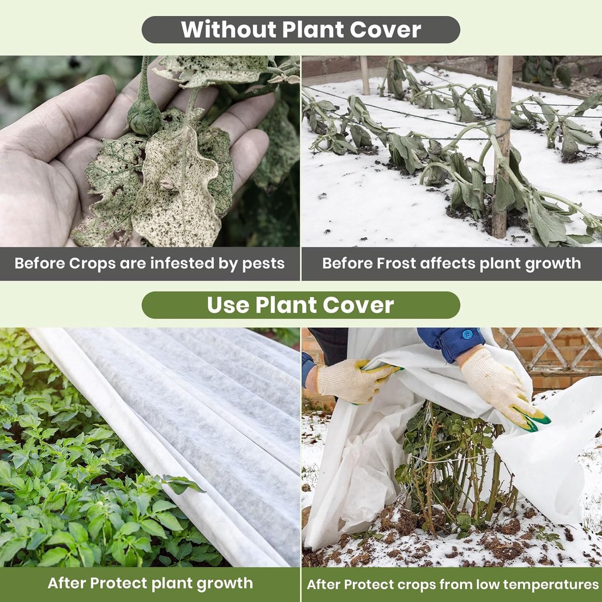 SnelShoppen - 1.6 x 10m Plant Fleece - 30gsm Zware Tuinbescherming - Vorstbescherming voor Groenten, Bloemen, Bescherming tegen Vogels en Insecten