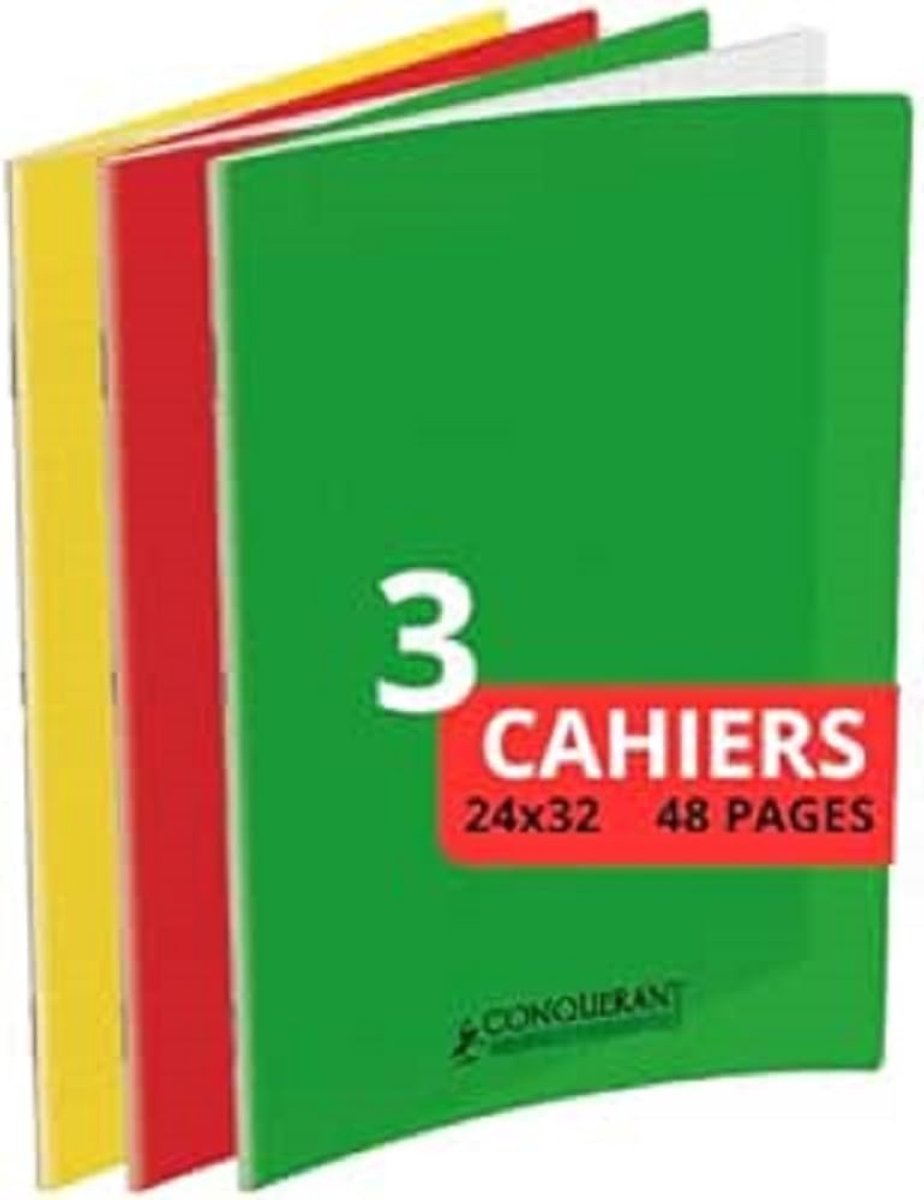 Thijox - Set van 3 grote notitieboeken 24 x 32 cm met ruitjes, 48 pagina's, ideaal voor studenten, gemaakt in Frankrijk, multifunctioneel voor school