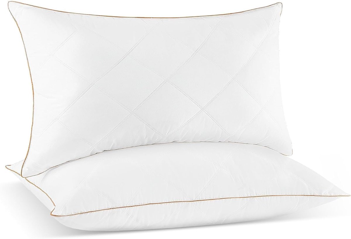 SnelShoppen - Donskussen Set van 2, 50 x 75 cm, Luxe Ganzendons Hoofdkussen, Wit, Allergievriendelijk, Biologisch Katoen, Machinewasbaar, Oeko-Tex