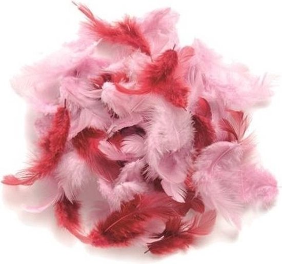 10 gram decoratie veren roze tinten | bol.com
