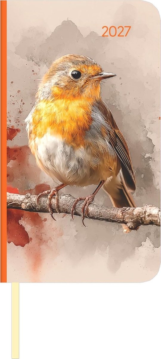 SnelShoppen - Slimme Lady Journal 2027: Compacte Taschenkalender 9x15,6 cm met Duits Kalendarium, Leseband, Maandoverzicht & Notities - Ideaal voor Re
