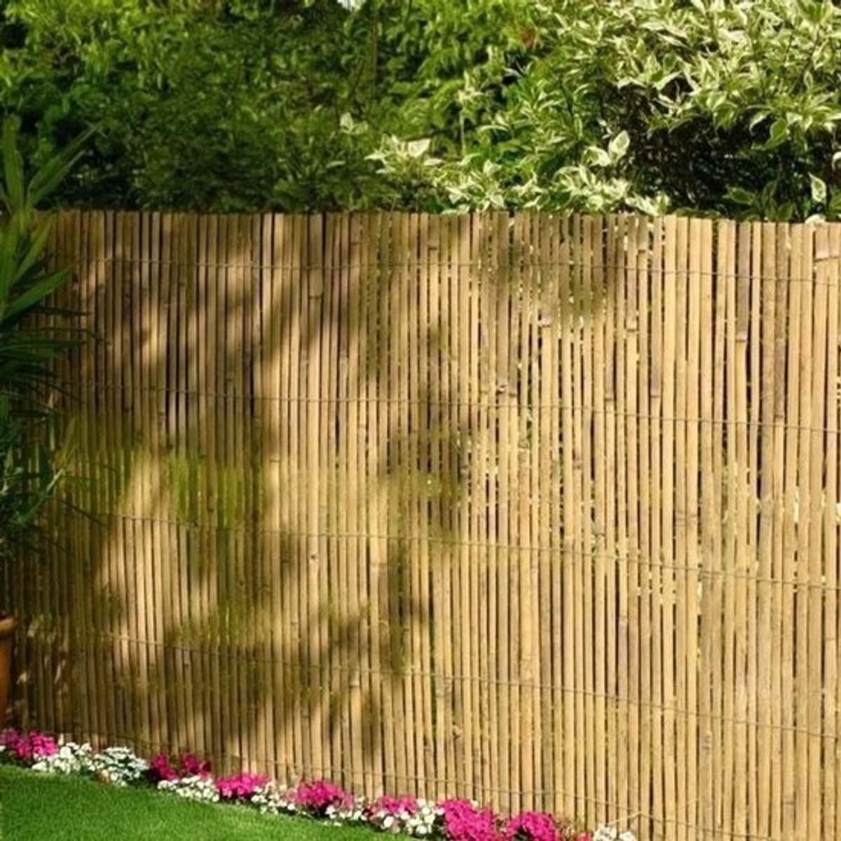 Privacy schermrol van echte bamboe voor tuin en terras - 4m breed