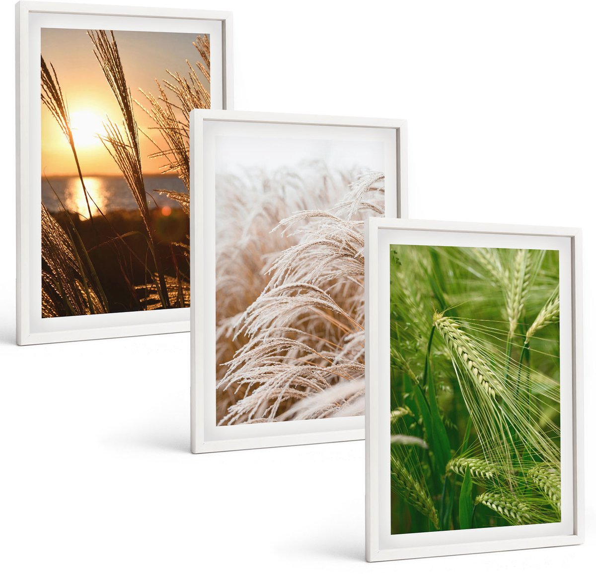 Wallfluent 3-Delige Schilderij Set - Verschillende Soorten Grassen, Kleurrijke Natuur - 40 x 60 - Wanddecoratie - Muurdecoratie - Woonkamer - Moderne Wanddecoratie