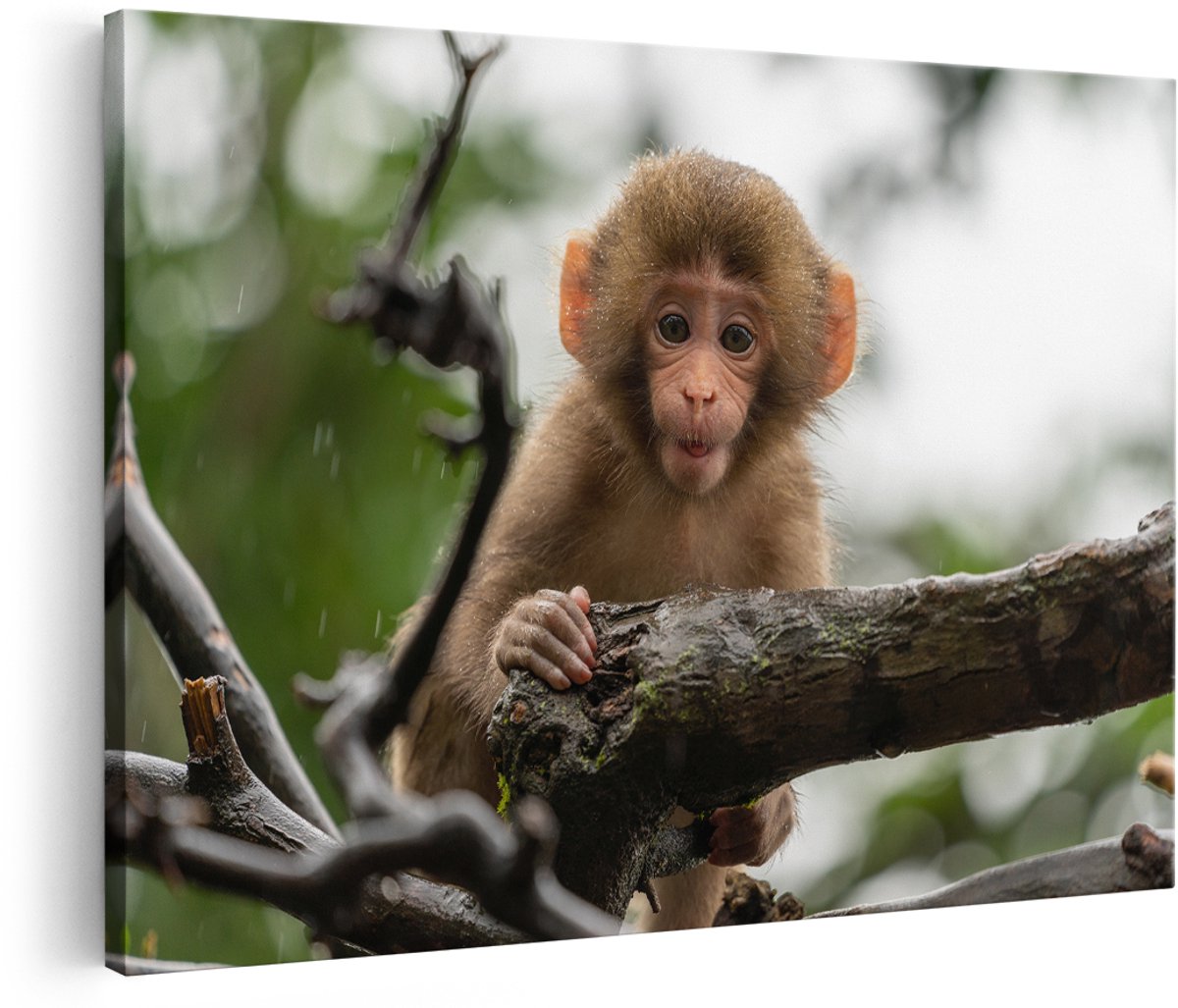 Artaza Canvas Schilderij Klein Baby Aapje Op Een Tak - 150x100 cm - Groot - Wanddecoratie Woonkamer - Schilderijen - Muurdecoratie