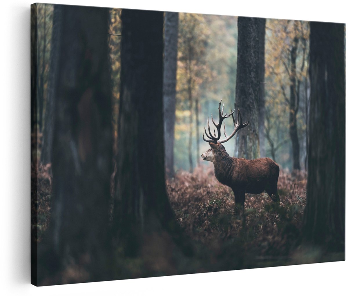 Artaza Canvas Schilderij Hert in het Bos - 150x100 cm - Groot - Foto Op Canvas - Wanddecoratie Woonkamer
