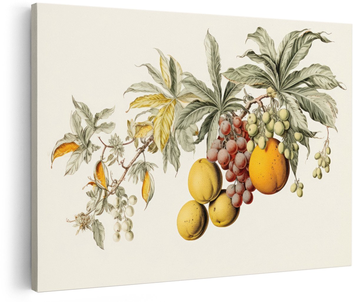 Artaza Canvas Schilderij Botanisch Fruit - 180x120 cm - Groot - Wanddecoratie Vintage - Muurdecoratie Bladeren - Schilderijen Op Canvas Druiven