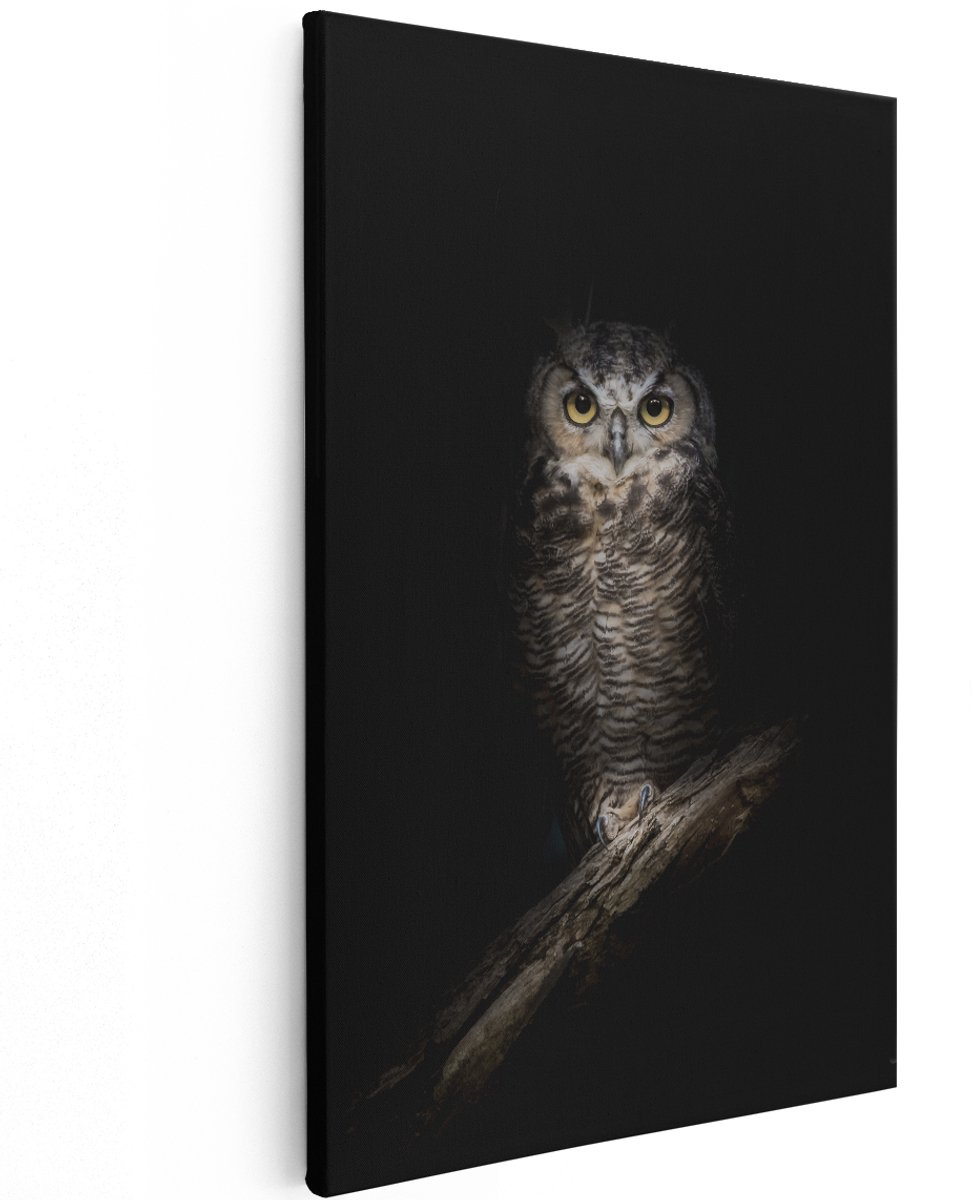 Artaza Canvas Schilderij Uil Op Een Tak In De Nacht - 120x180 cm - Groot - Wanddecoratie Woonkamer - Schilderijen - Muurdecoratie