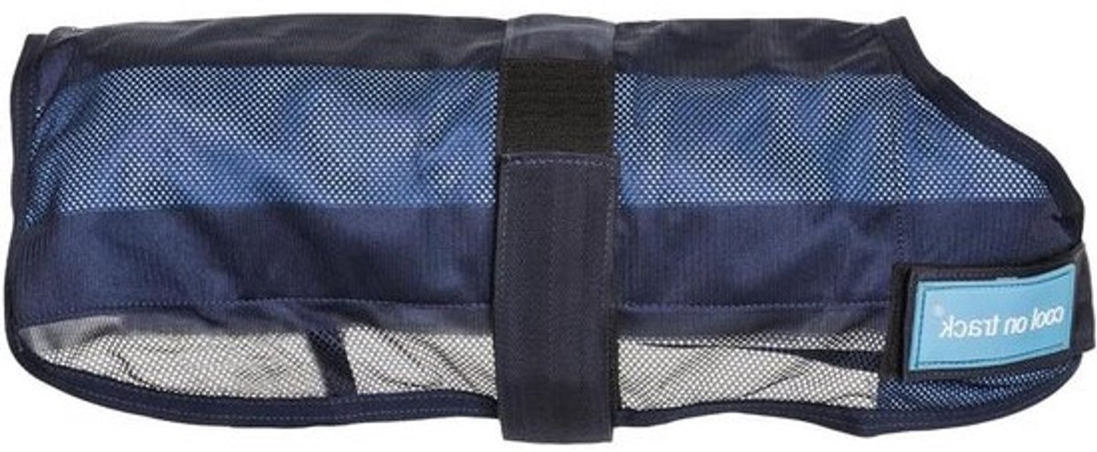 Honden Koeljas - Verkoelende Hondenkleding - Hond Koel Houden - Verdampt Warmte - 25 cm - Blauw