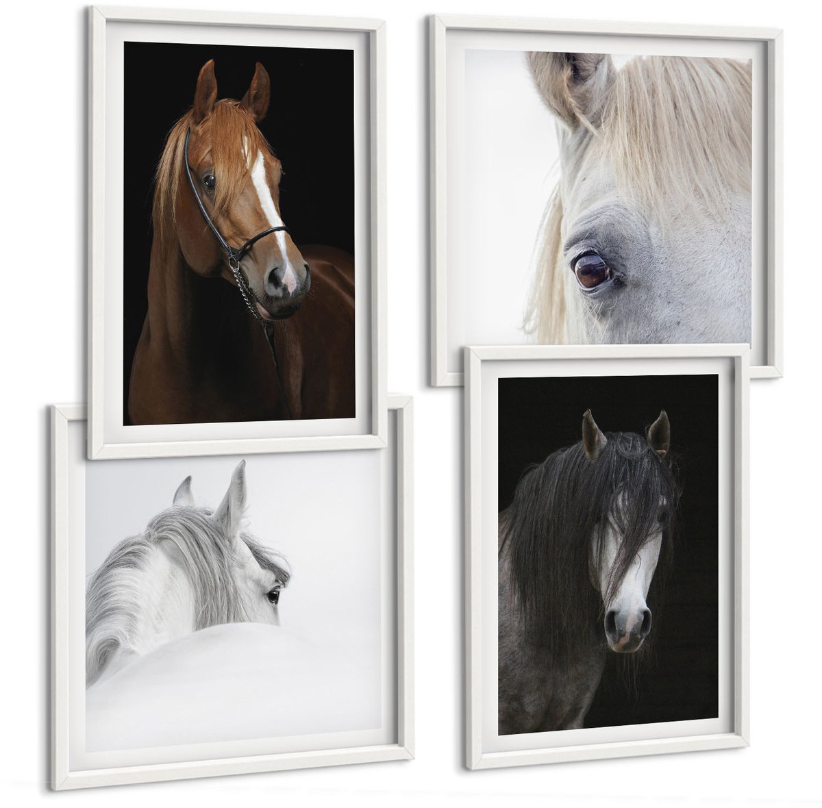 Wallfluent 4-Delige Schilderij Set - Portretten Van Paarden In Verschillende Vachtkleuren - 40 x 40 En 40 x 60 - Decoratieve Schilderijen - Wanddecoratie - Hal - Stijlvolle Muurdecoratie