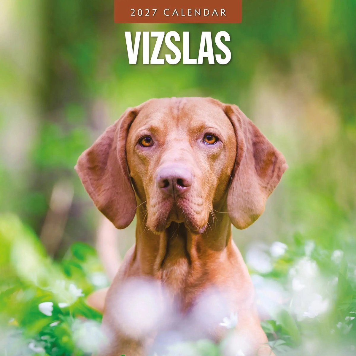Vizsla Kalender 2027