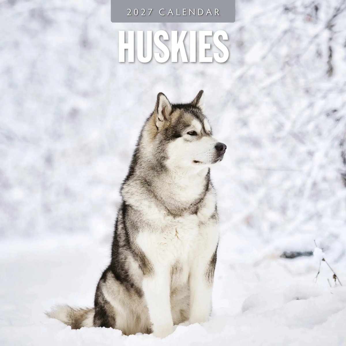 Husky Kalender 2027