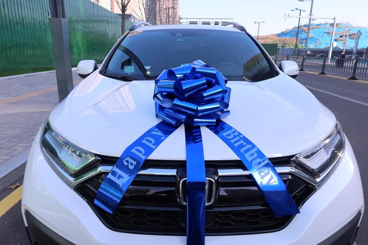 Grote Geschenkbloem voor Auto en Fiets, Perfect voor Verjaardagen, Bruiloften en Feestjes - XXL 45 cm, 600 cm Lange Ribbons