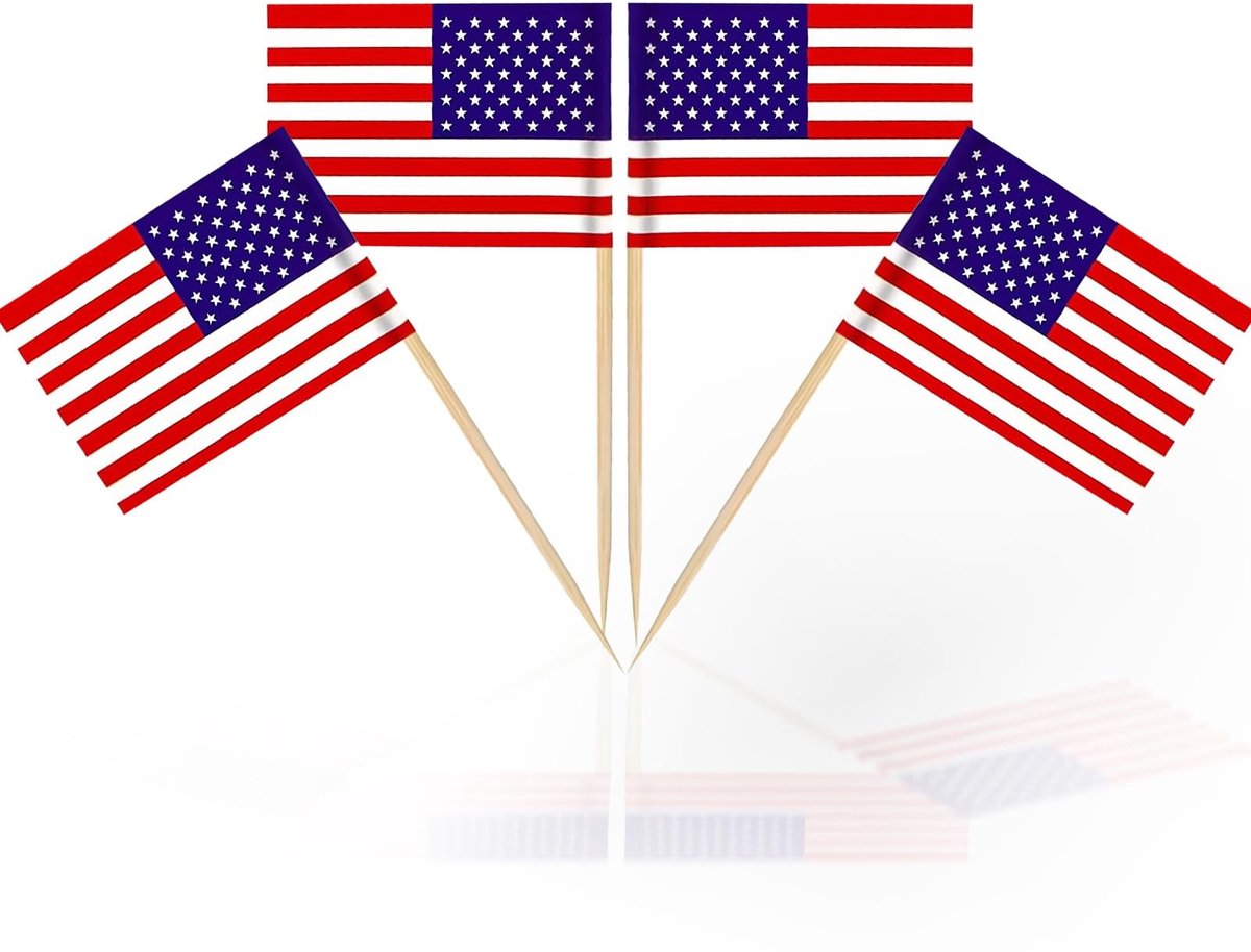 Dailygoods- Vlaggenstokers 100 Stuks - Cupcake Toppers - Vlag Decoratie - Verjaardag - Bruiloft - Baby Shower - Veiligheidswaarschuwing