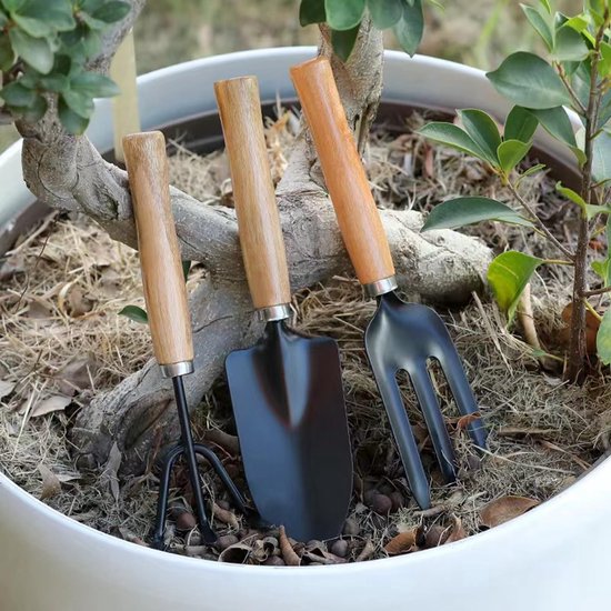 Cosensi- Tuinieren Tool Set Mini - 2x Hark/Spade/Schep - Lichtgewicht - Roestvrij Staal - Massief Houten Handvat - Voor Indoor/Outdoor Gebruik - Tuingereedschap van Cosensi — afbeelding 3