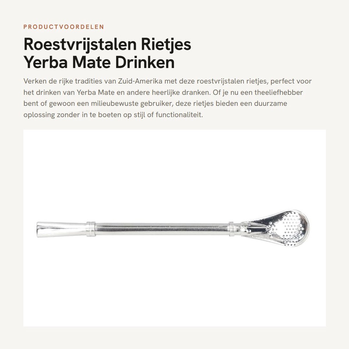 Dailygoods- Rietjes Roestvrij Staal - Rietjes Bombilla - Rietjes voor Yerba Mate - Rietjes Herbruikbaar - Rietjes voor Thee - 15,7 cm Lang