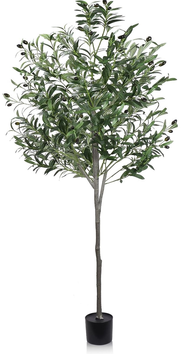 Dailygoods- Olijfboom 180 cm - Kunstplant in Pot - Realistische Decoratie - Onderhoudsvriendelijk - Voor Binnen/Buiten - Weelderige Bladeren en Vruchten