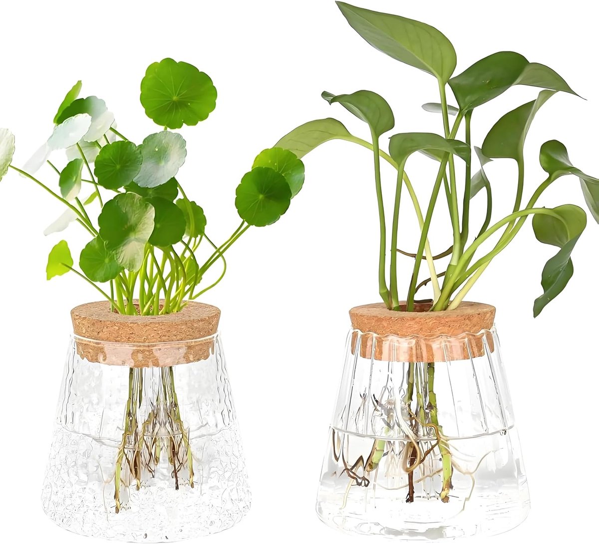 SnelShoppen - 2 Stuks Hydroponische Plant Terrarium - Vintage Glazen Vazen voor Tafel Decoratie - Propagation Station - Balvaas voor Planten, Bloemen,