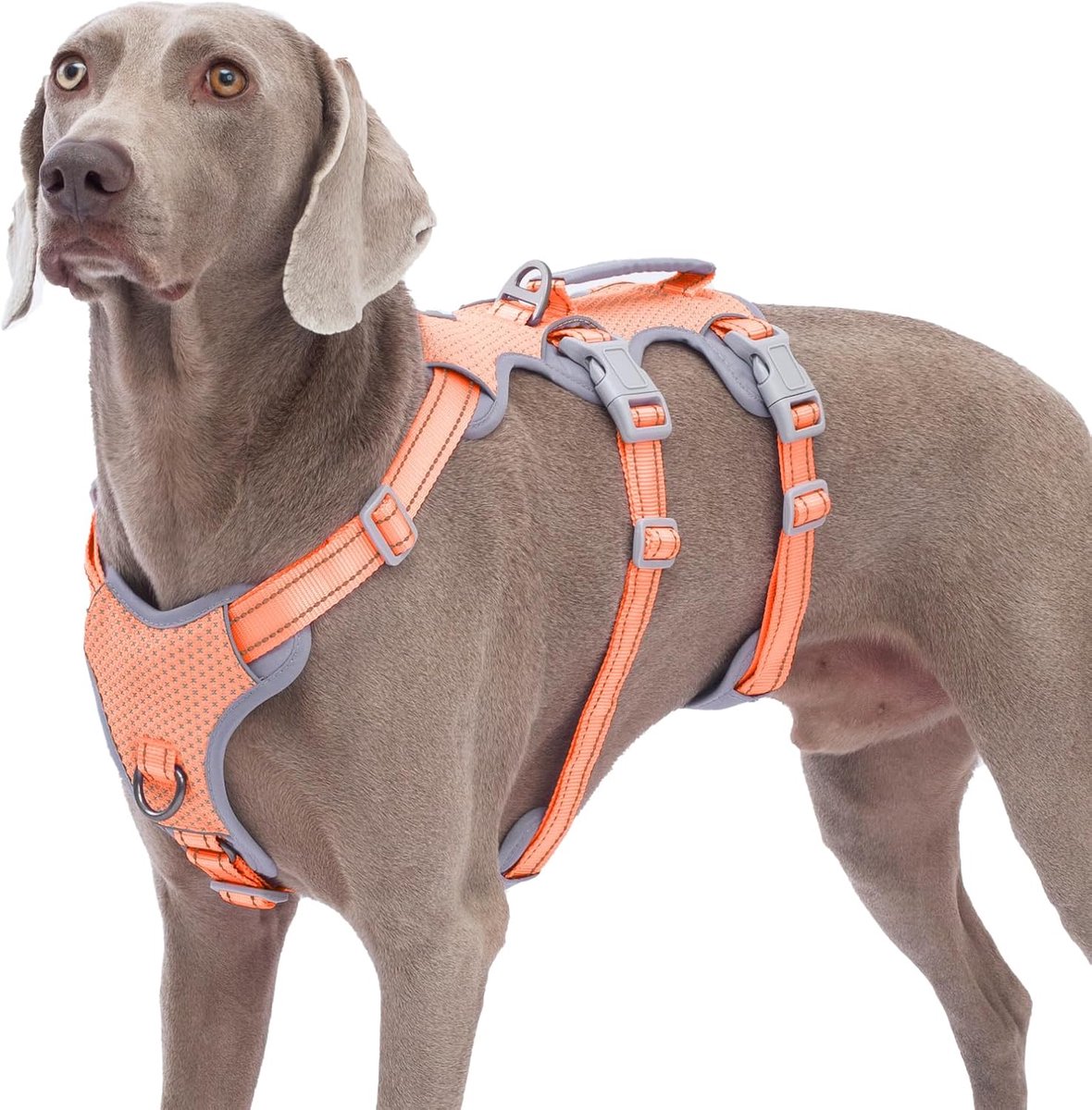 SnelShoppen - Escape Proof Hondentuig XL - Anti Slip Harnas voor Medium Honden - Reflecterend, Ademend, Verstelbaar Vest - Perfect voor Wandelen en Ha