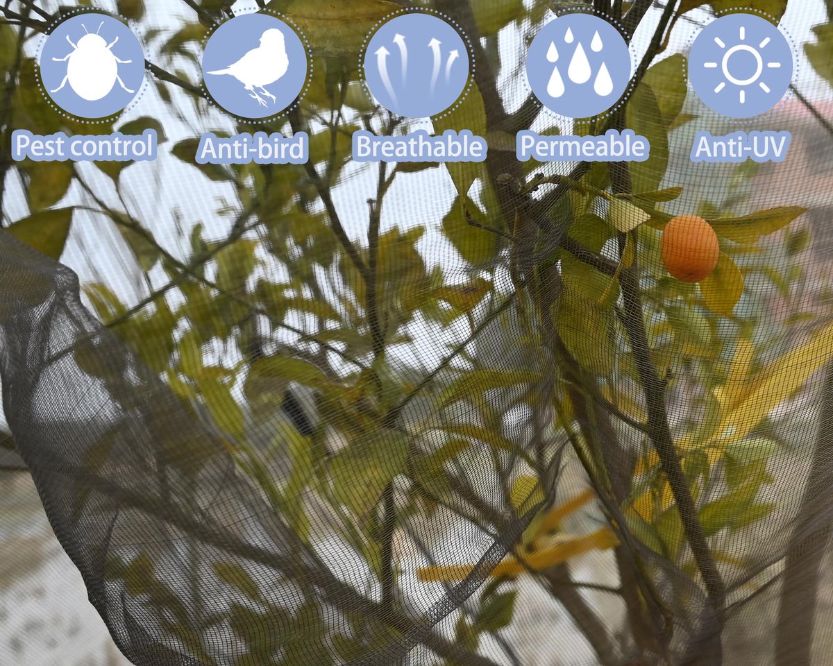 LINCOCLE Plantenbeschermingsnet voor insecten, tuin, insectenwerend net voor fruitbomen, met ritssluiting en - ShopVlot