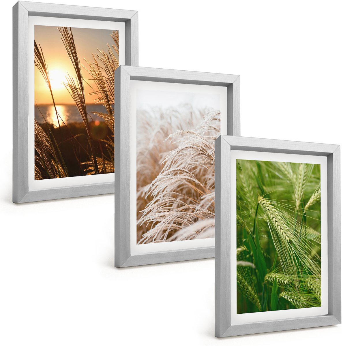 Tulup 4-Delige Schilderij Set - Verschillende soorten grassen, kleurrijke natuur - 20 x 30 cm - Moderne Wanddecoratie - Slaapkamer