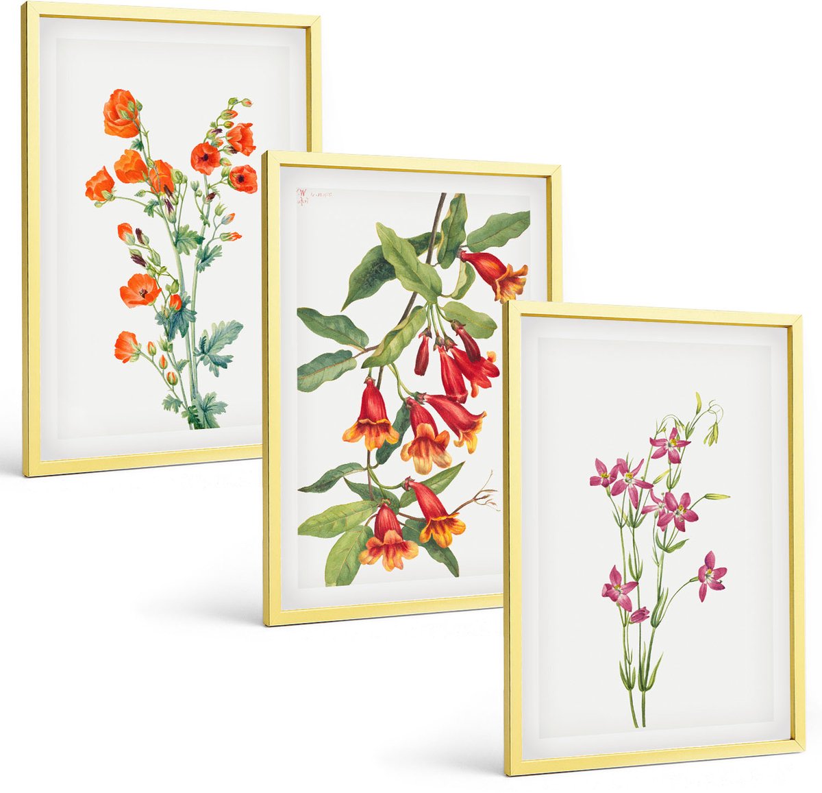 TULUP 4-Delige Schilderij Set - Vintage retro bloemenschilderij - 40 x 60 cm - Wanddecoratie - Schilderijen Set - Kantoor - Decoratieve Schilderijen Gouden lijst