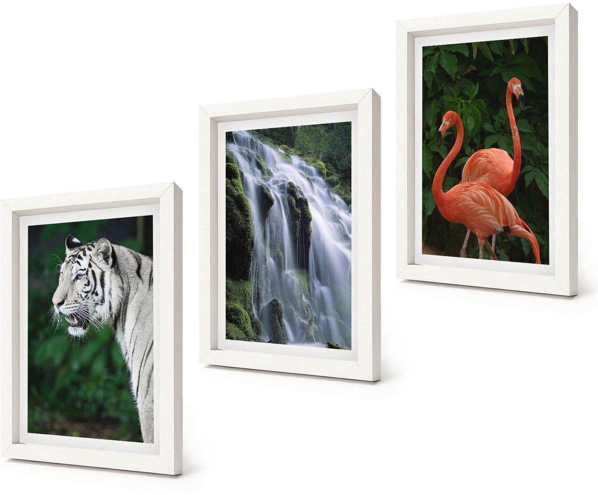 Coloray 3-Delige Schilderij Set - Tijgerwaterval en roze flamingo's in de natuur - 20x30 - Decoratieve Muurdecoratie - Slaapkamer