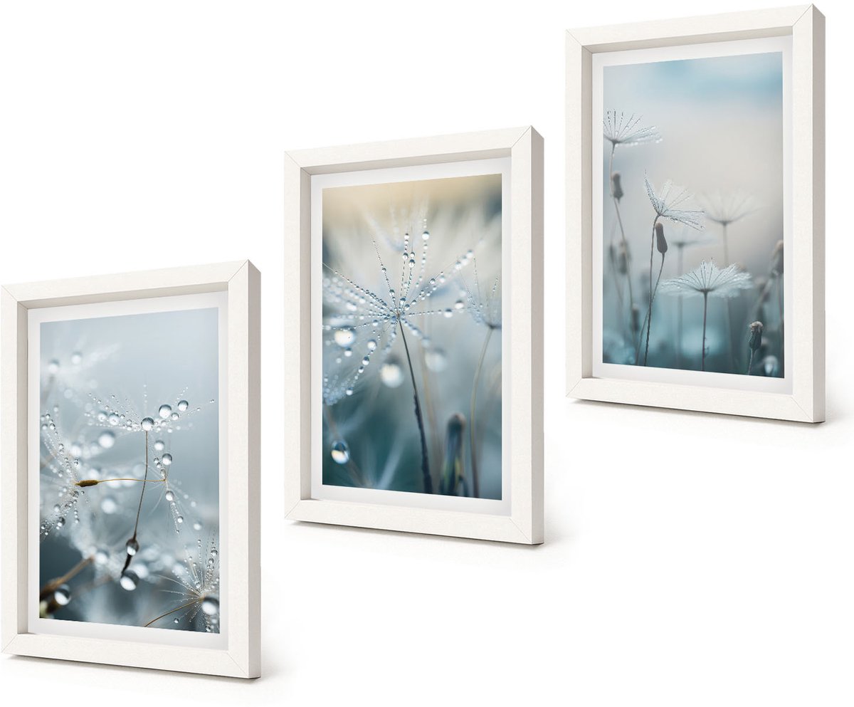 Coloray 3-Delige Schilderij Set - Dauwdruppels op tere paardenbloemen - 20x30 - Wanddecoratie - Schilderijen Set - Kantoor - Moderne Wanddecoratie