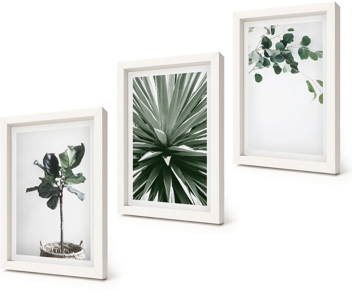Coloray 3-Delige Schilderij Set - Groene planten in een minimalistische stijl - 20x30 - Decoratieve Schilderijen - Woonkamer - Interieur - Moderne Wanddecoratie