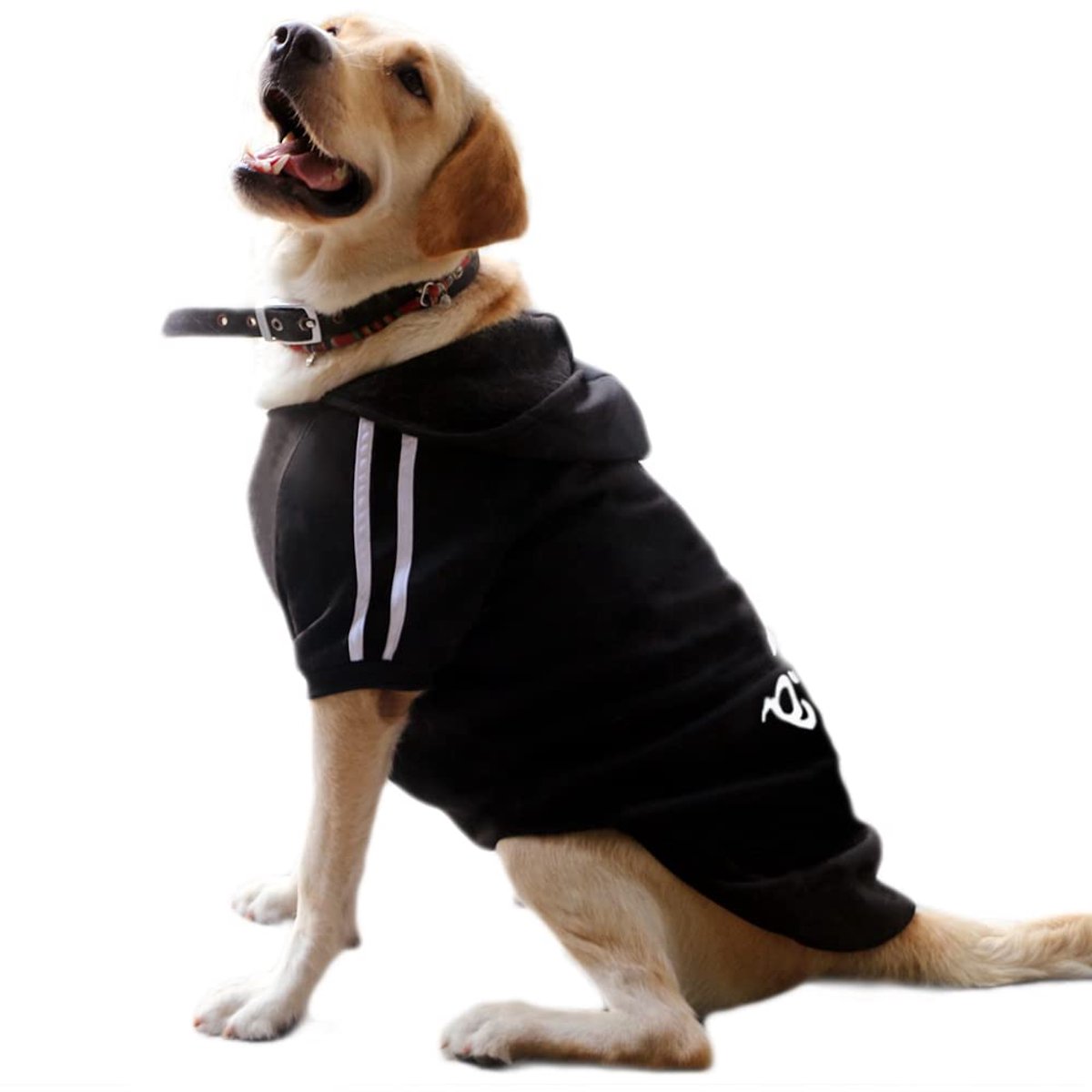 Honden Hoodie voor Dieren - Zwart - Maat 3XL