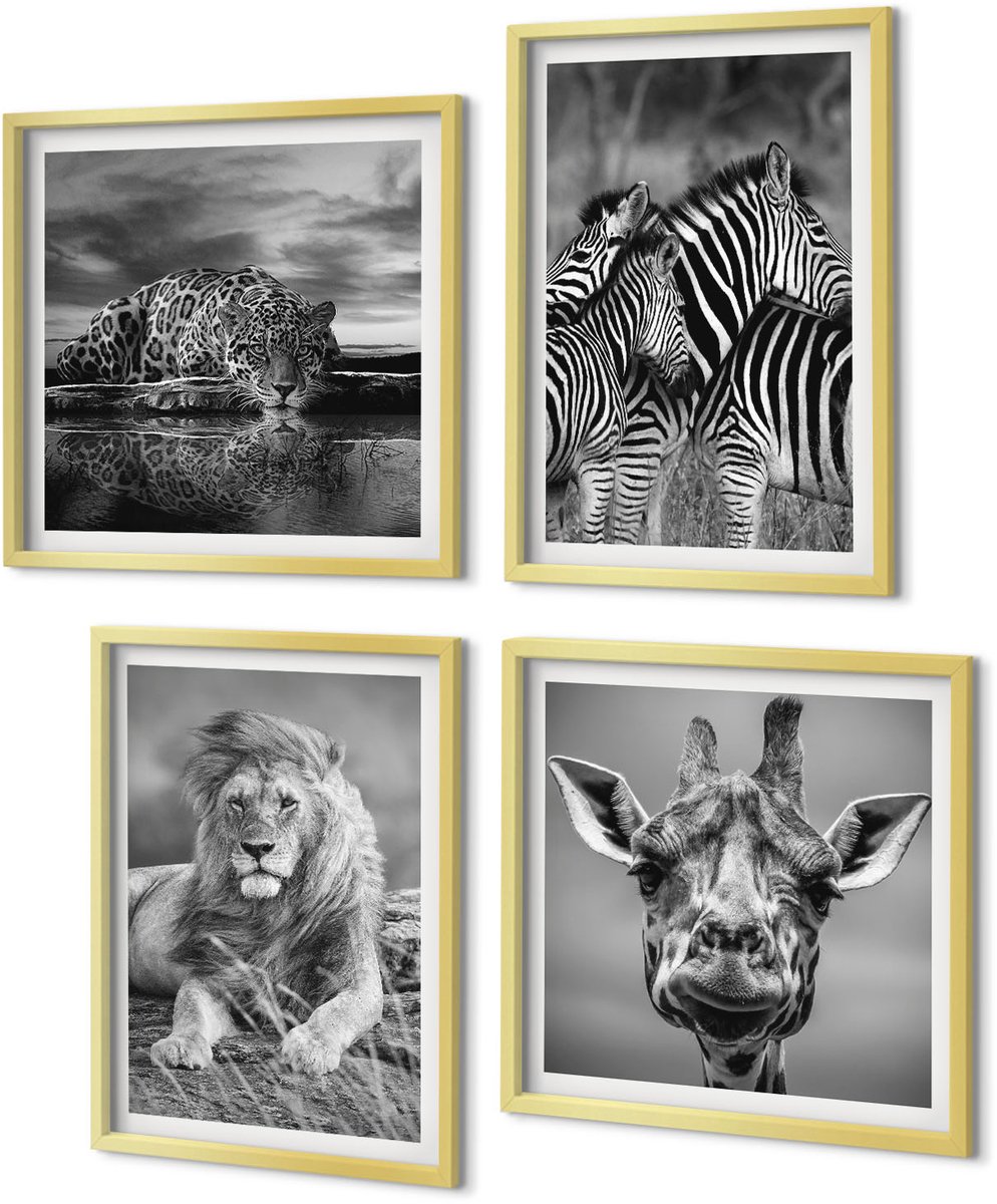 Coloray 4-Delige Schilderij Set - Wilde dieren: leeuw, jaguar, giraffe en zebra's - 40 x 40 cm en 40 x 60 cm - Decoratieve Schilderijen - Woonkamer - Interieur - Stijlvolle Muurdecoratie