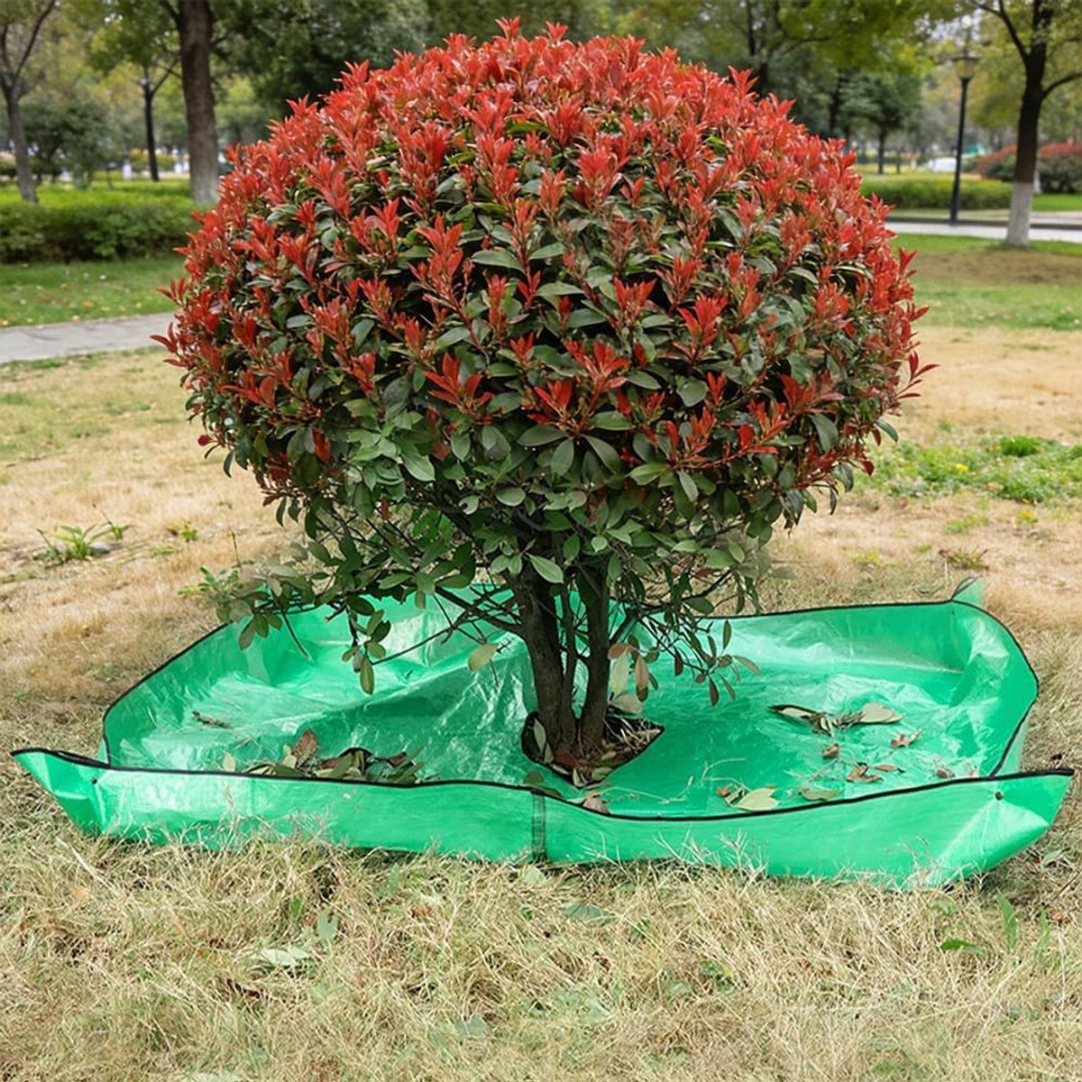 Plantenmat voor het trimmen met gat van 30,5 cm, landschapsplan voor het snoeien van bomen, waterdicht, tuinlandschap, dekzeil, 4 hoeken, hoeken, gespen, tuin, vormsnijmat, 200 x 200 cm